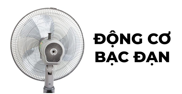 ĐỘNG CƠ BẠC ĐẠN