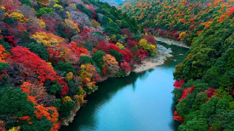 màu sắc tái hiện chân thực trên tivi Sony Bravia 5