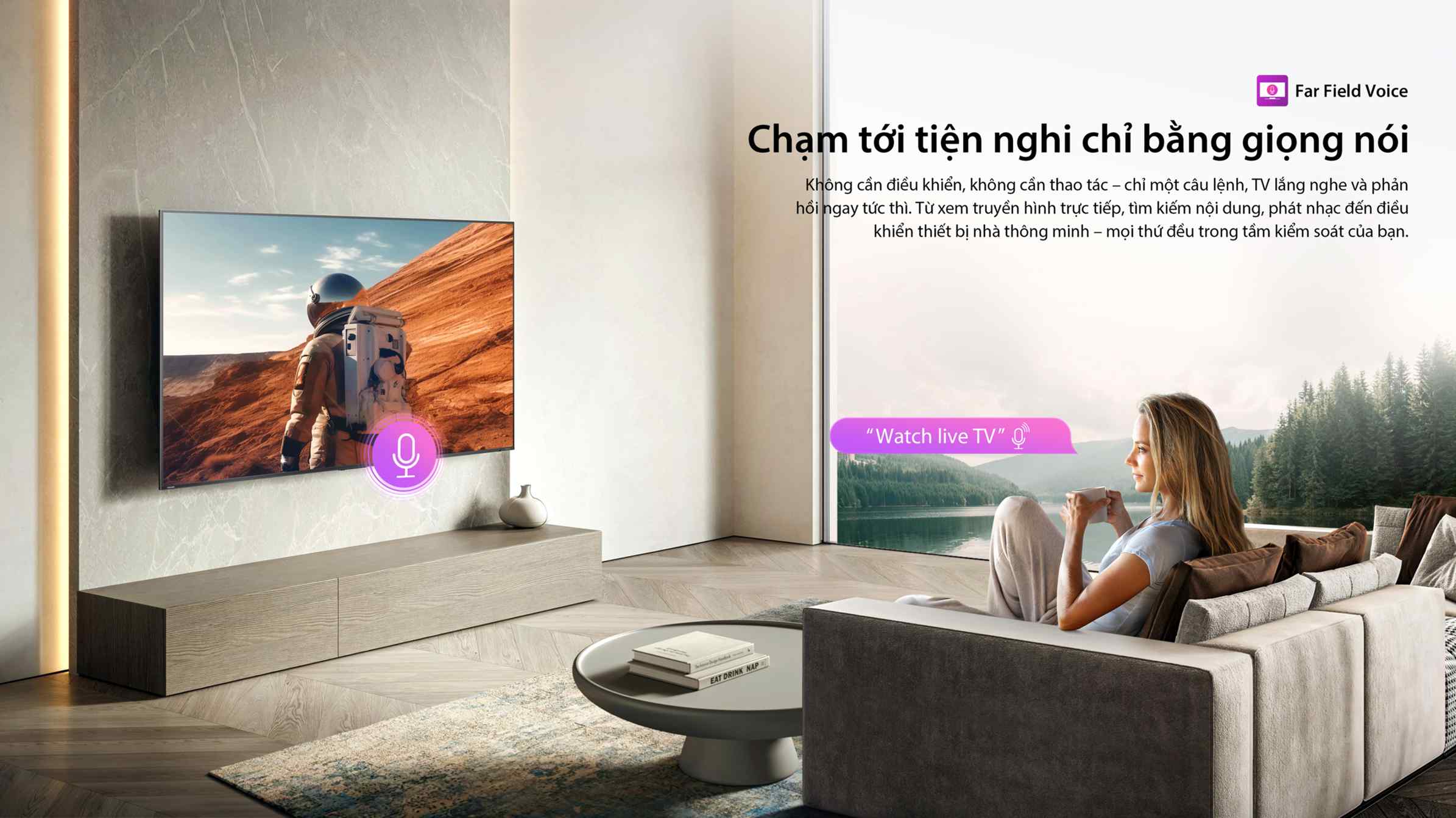 Tivi Toshiba 4K 65 inch 65C350RP