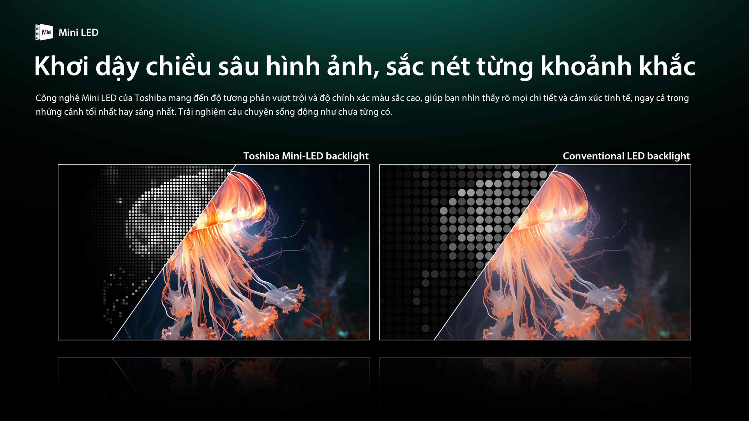Tivi Mini LED Toshiba AI 4K 55 inch 55Z670RP