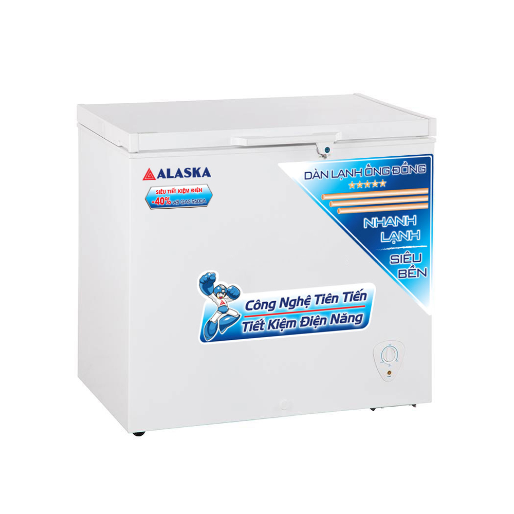 Tủ bảo quản Alaska 400 lít BD-400C, 1 ngăn đông