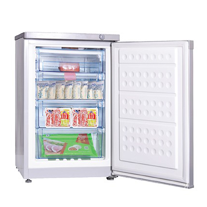 Tủ đông Hòa Phát dạng đứng HUF-300SR1