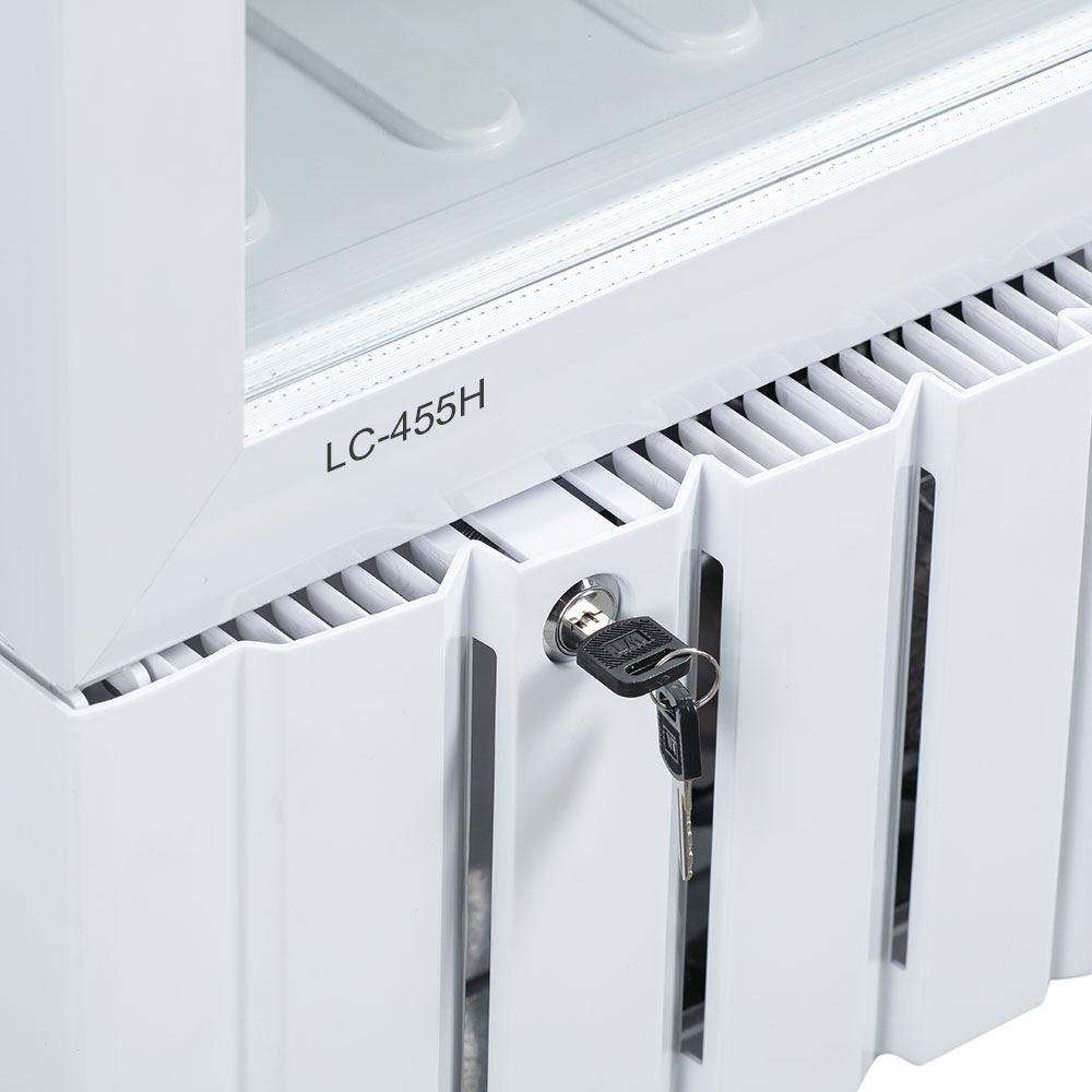 Tủ mát Alaska 260L LC-455H