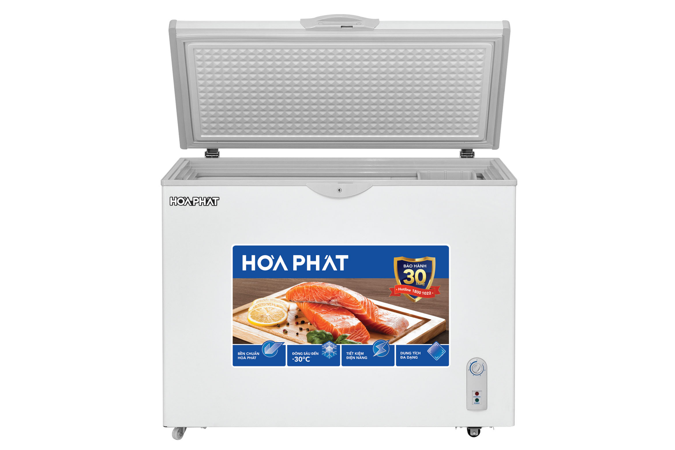 Tủ bảo quản 1 ngăn Hòa Phát 252L HPF-AD6252