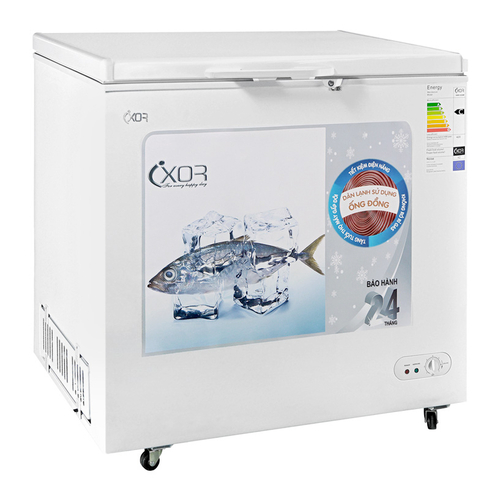 Tủ bảo quản Ixor 300 lít IXR-CC31E - 1 ngăn đông