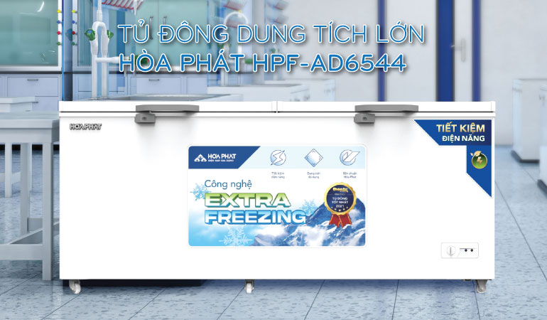 Tủ đ&ocirc;ng dung t&iacute;ch lớn H&ograve;a Ph&aacute;t 1 ngăn 2 c&aacute;nh HPF AD6544