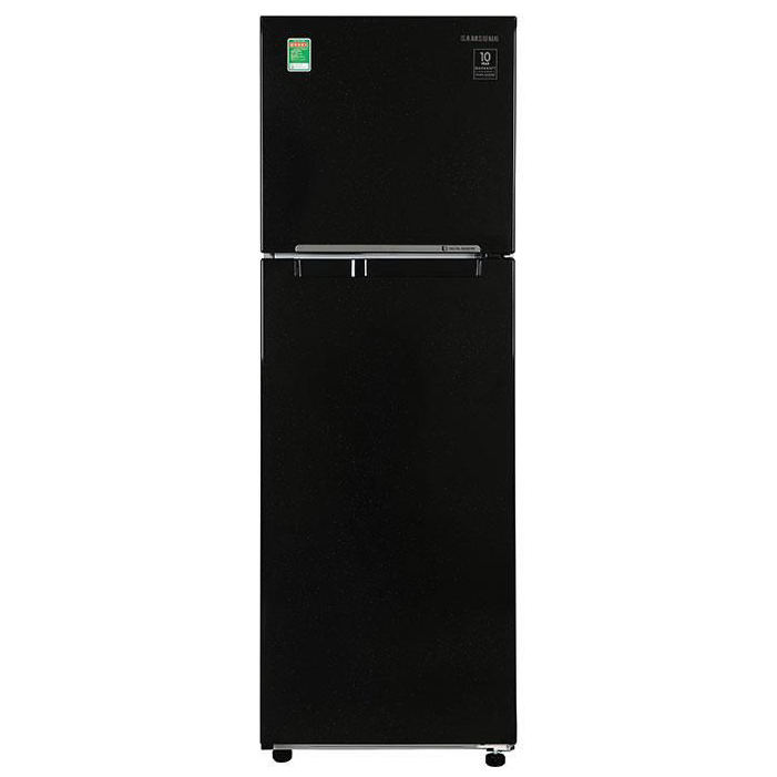 Tủ lạnh Samsung inverter 256 lít RT25M4032BU/SV