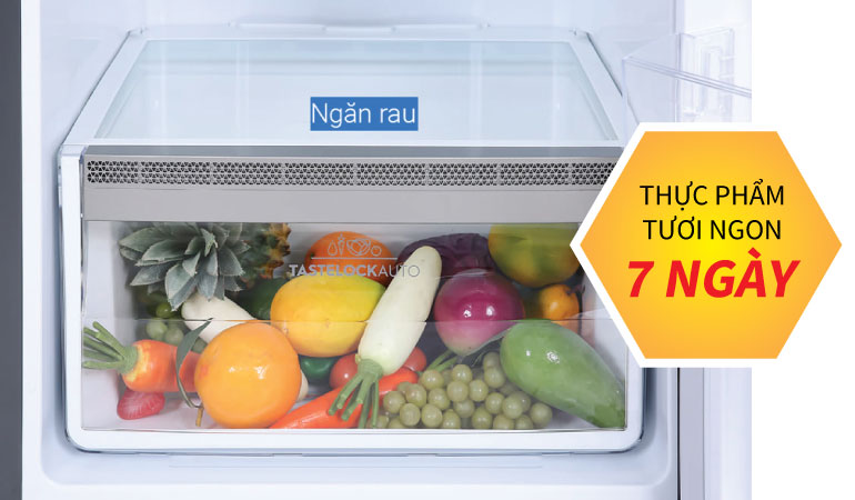 ngan-rau-qua-TasteLockAuto